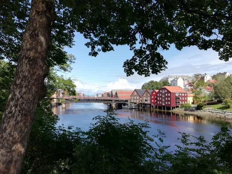Trondheim : Explorez la ville des rois avec un guide de région