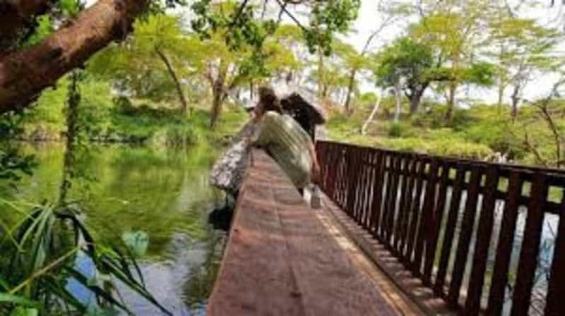 Billet Comté de Siaya : randonnée ancestrale dans les collines de Ramogi avec guide