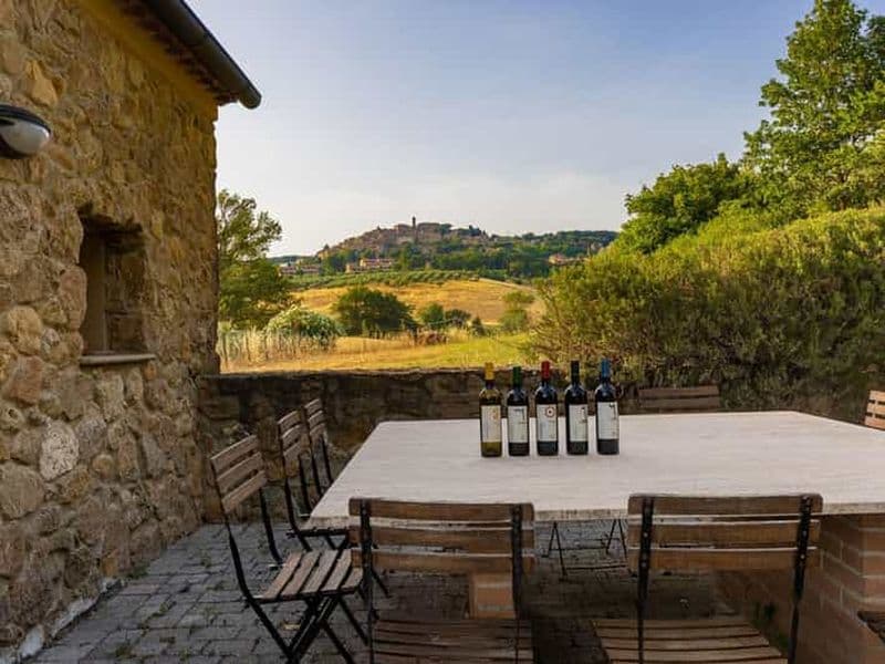 Visite de vignobles et dégustation de vins avec repas près de Livourne et Pise