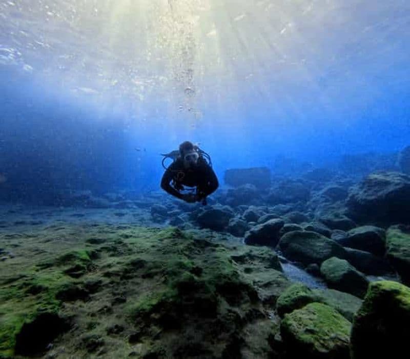 Chania Scuba Diving | Fun Dives | Certified Divers