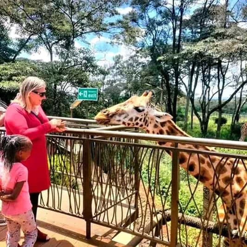 Billet Mombasa : Promenade guidée dans la nature au Sanctuaire de Nguuni, parmi les girafes.
