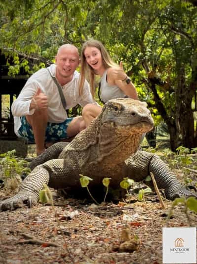 Billet Labuan Bajo : Komodo et Pink Beach : tour en bateau partagé de 2 jours
