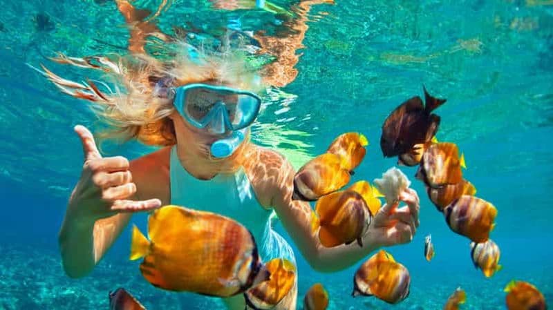 Billet Visite d'une journée à Kizimkazi : snorkeling, dauphins et barbecue