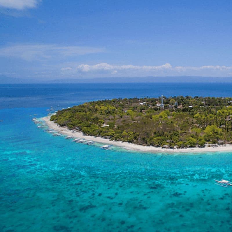 Bohol : Observation des dauphins, circuit dans les îles de Balicasag