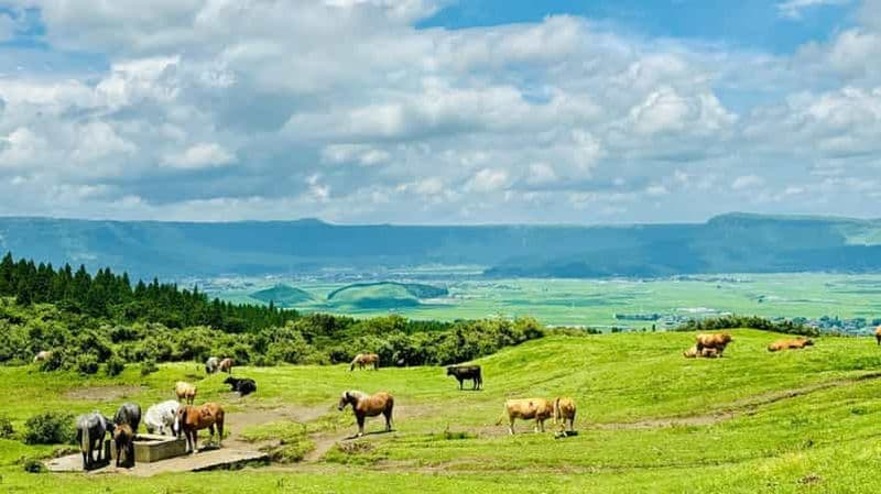 Billet Fukuoka : Excursion d'une journée au Mont Aso, Kusasenri et Kurokawa Onsen