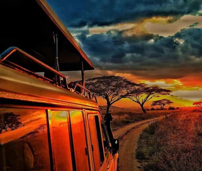 Billet Safari de 7 jours à la découverte des Big Five en Tanzanie