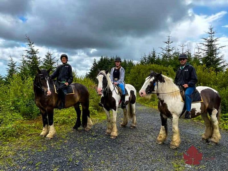 Le Cap : expérience d'équitation