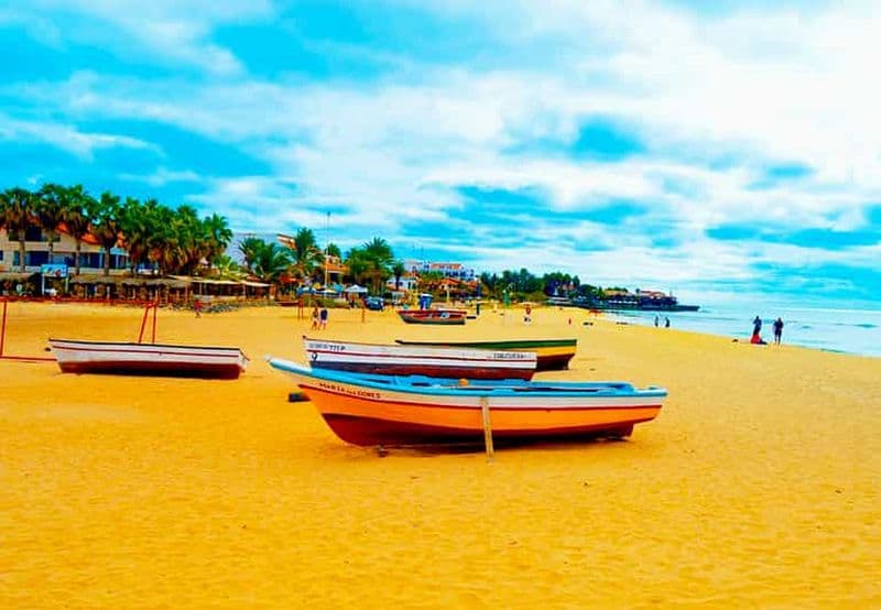 Billet L'île de Sal : Visite guidée d'une jounée avec déjeuner