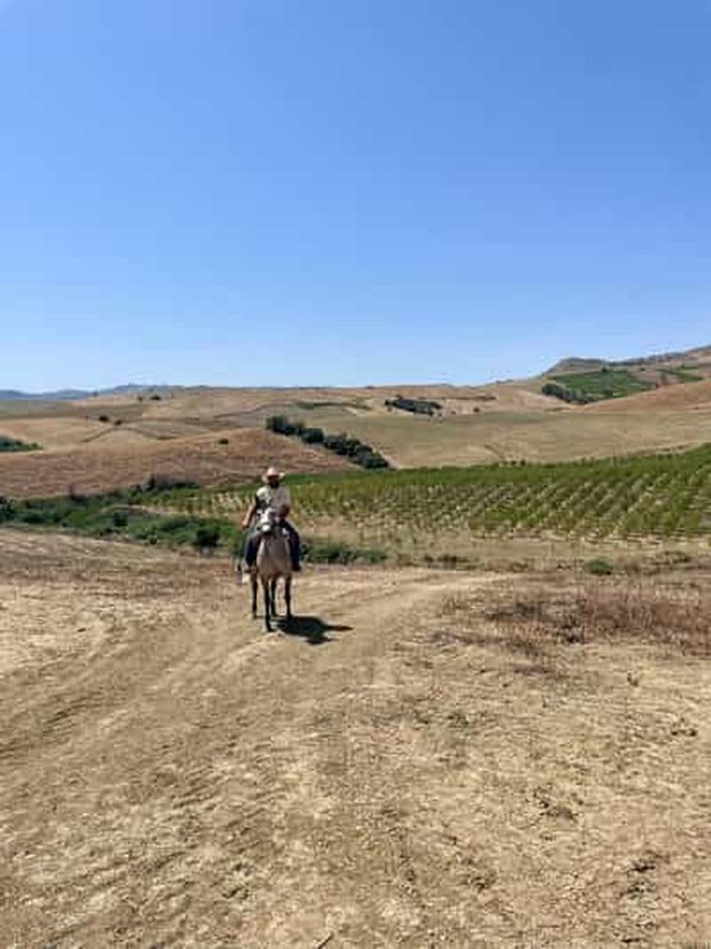 Enna, Sicile : promenade à cheval sur les sentiers de l'arrière-pays