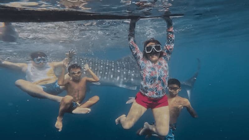 Oslob : Requins-baleines, chutes de Tumalog et aventure Sumilon Trio