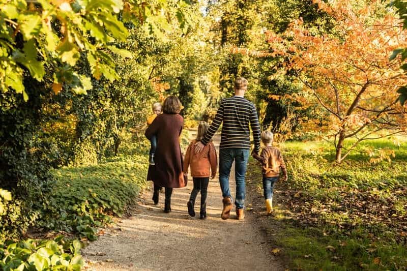 Billet Rotterdam : billet d'entrée au jardin botanique de Trompenburg