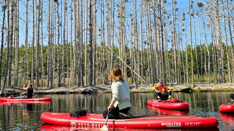 Au départ de Riga : excursion dans la jungle lettone avec paddle board