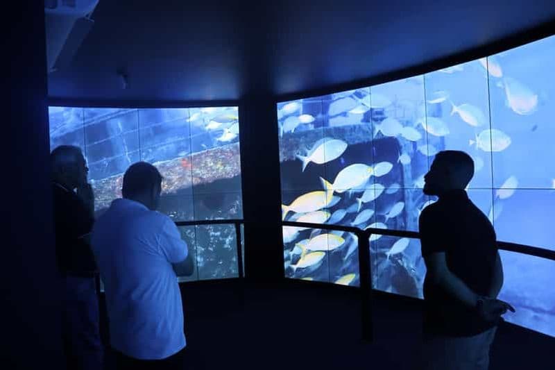 Madère : expérience de réalité virtuelle et de réalité augmentée