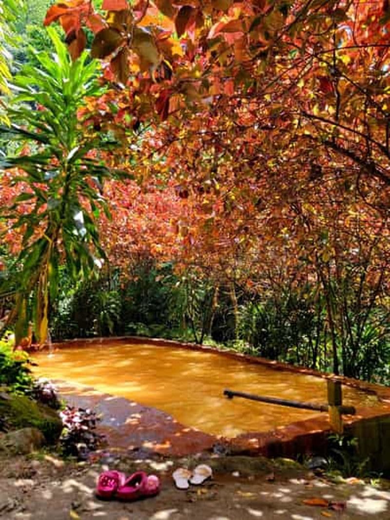 Dominique : Les chutes de Middleham, les gorges de Titou et les chutes de Trafalgar...