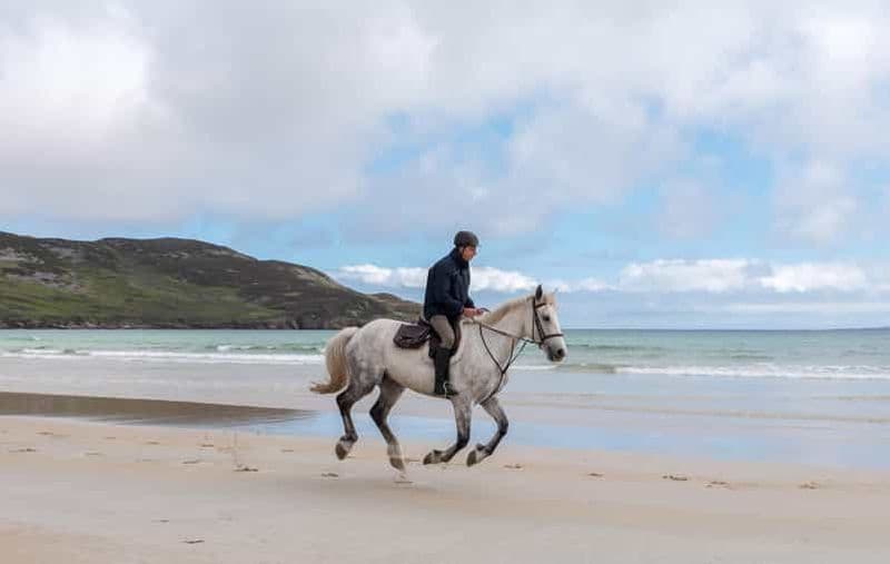 Westport : Promenade à cheval guidée sur la plage et dans la campagne