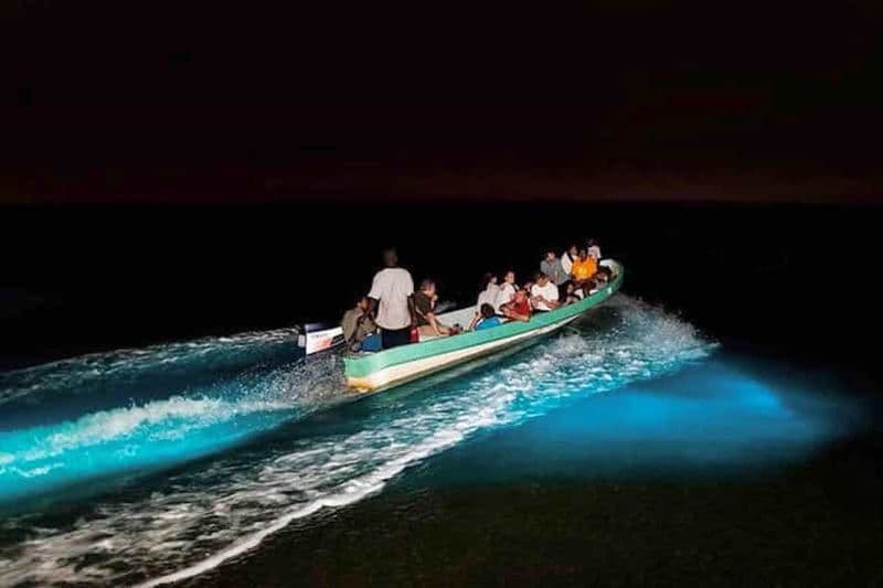 Billet Circuit de la bioluminescence - Bocas del Toro