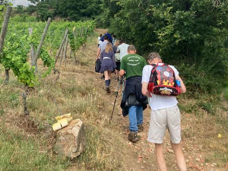 Randonnée & Vin entre Côte-Rôtie et Condrieu