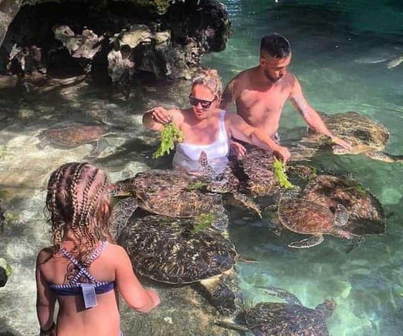 Billet Zanzibar : Nagez avec les tortues marines à l'aquarium de Baraka, à Nungwi