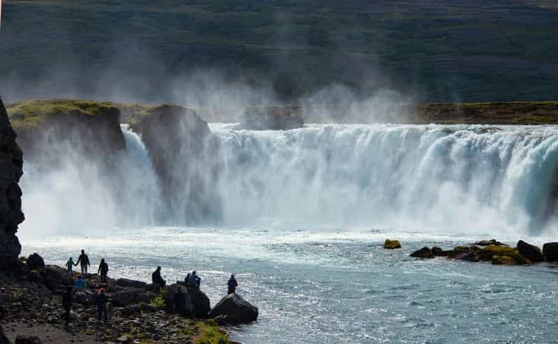 Billet Akureyri : visite privée d'observation des baleines et de la côte arctique