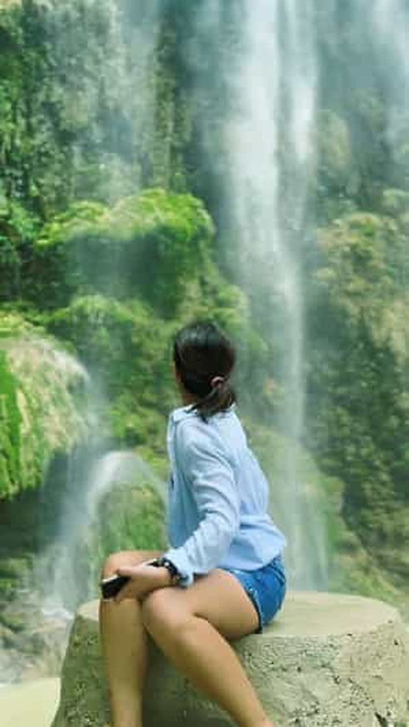 Oslob : Observation des requins-baleines, chutes de Tumalog et île de Sumilon