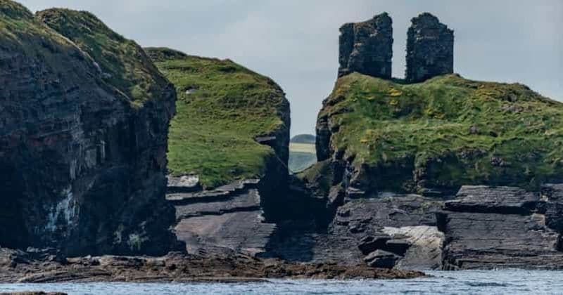 Kilrush : Safari dans l'estuaire du Shannon et sur la côte du Kerry