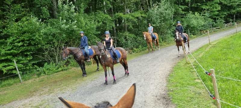 Parc national de Söderåsen : vacances à cheval 2nuits