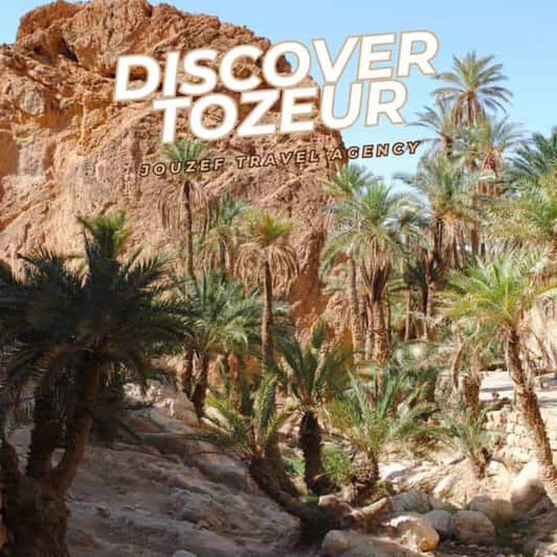 Tozeur : Aventure 4x4 à Chebika, Tamaghza et Mos Espa