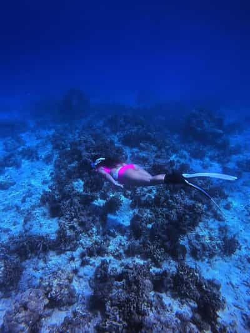Billet Île de Bantayan : Excursion de plongée en apnée