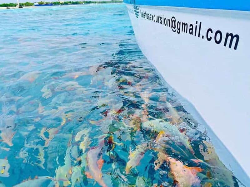 Rangiroa : Lagon bleu, île aux oiseaux et jardin de corail