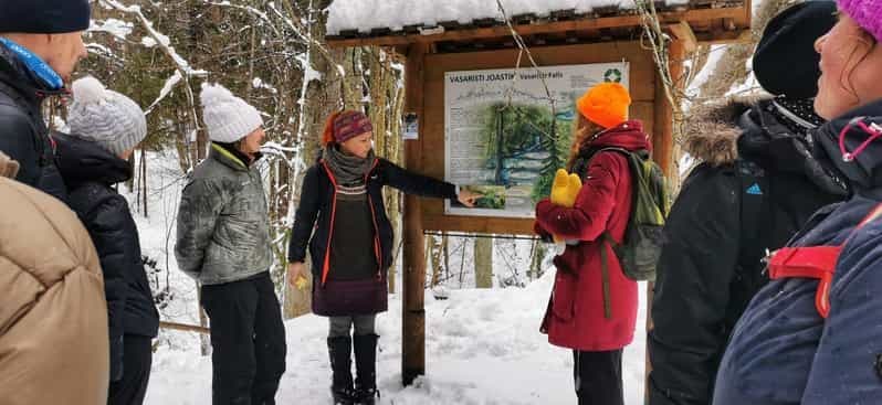 Depuis Tallinn : Randonnée des 3 cascades du parc national de Lahemaa