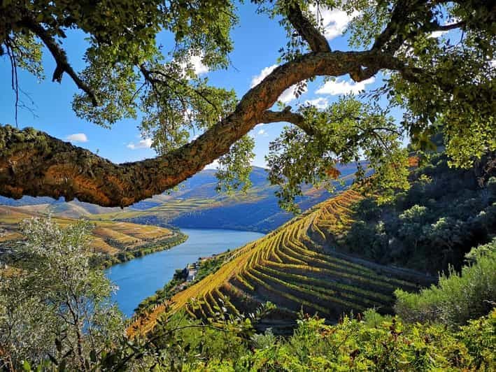 Depuis Pinhão : Tour en bateau de la vallée du Douro avec dégustation de vin