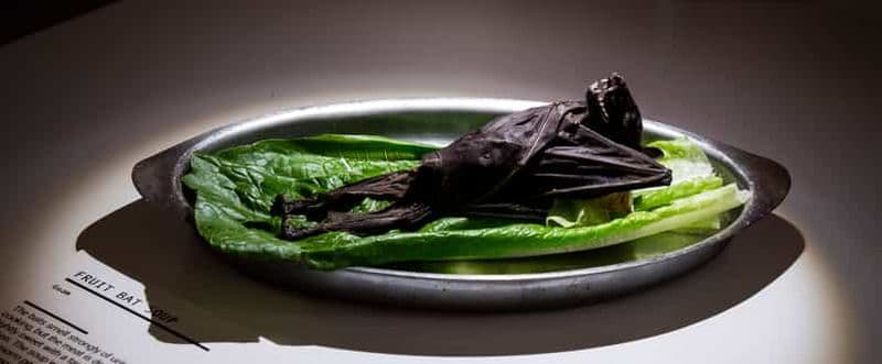 Malmö : Ticket d'entrée pour le musée de la nourriture dégoûtante