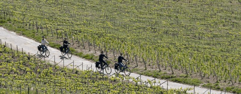 Billet Au départ de Reims : Après-midi champagne en E-Bike