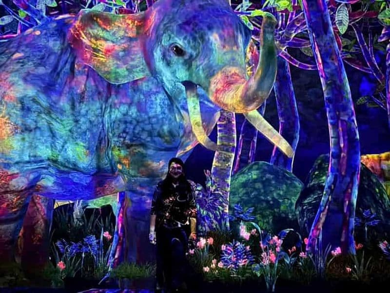 Billet Tokyo : visite de TeamLab Planets et de la baie d'Odaiba Gundam