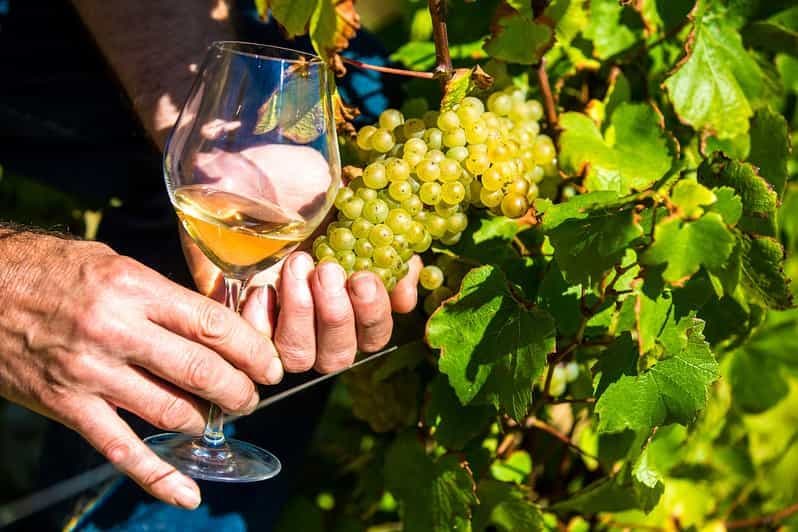 Nice : Visite du village provençal avec dégustation de vins et de produits du terroir