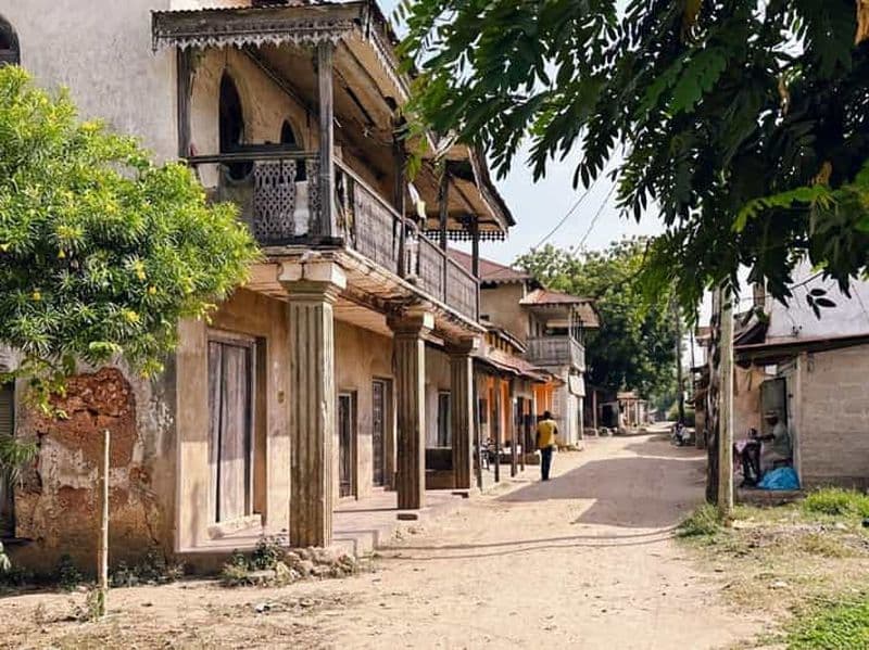 Billet Excursion aux ruines de Tongoni et à la ville historique de Pangani - Depuis Tanga