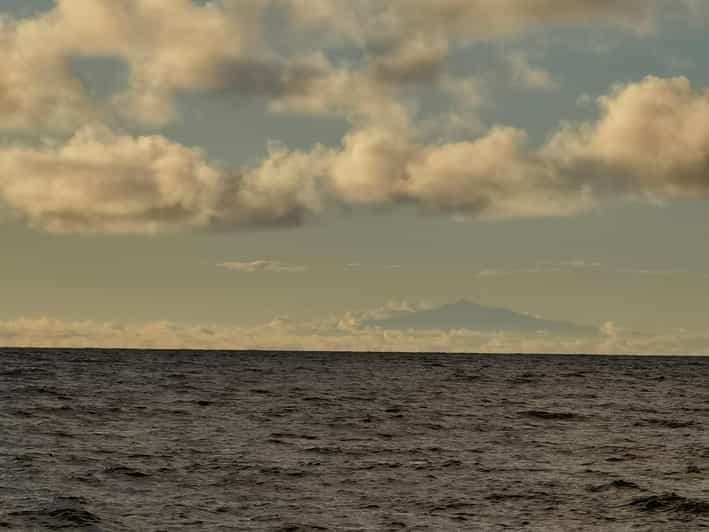 Kribi wales tour : Découvrez les baleines et les dauphins de la côte....
