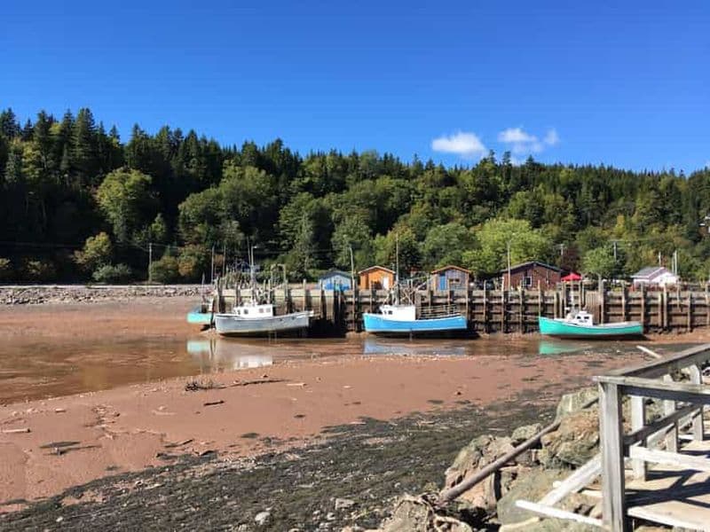 Billet Visite de la baie de Fundy en mini-van