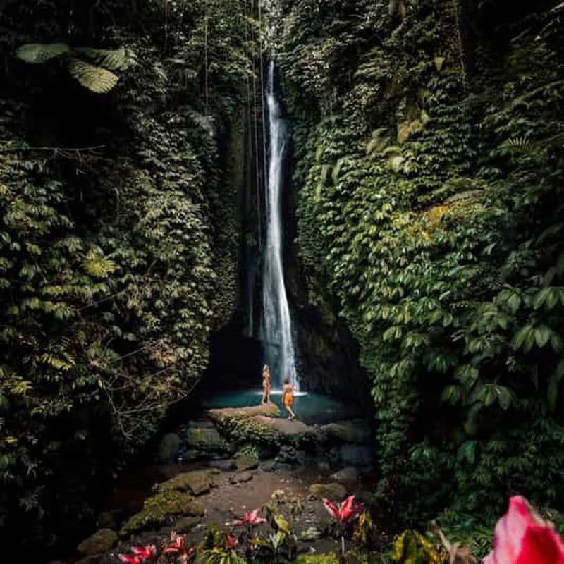 Billet Nord de Bali : Forêt de singes - Chutes d'eau - Rizières en terrasses - Ulun Danu