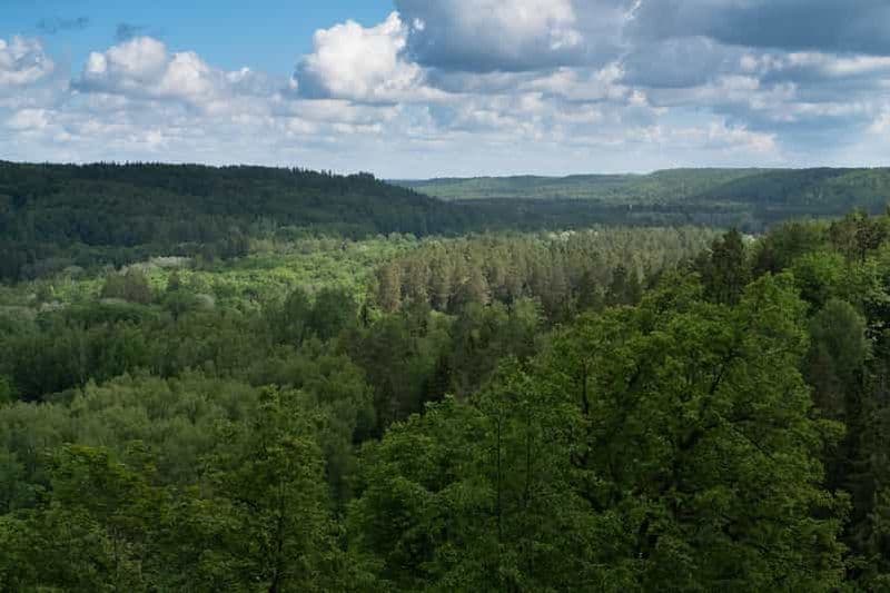 Billet Depuis Riga : randonnée dans le parc national de Gauja à Sigulda