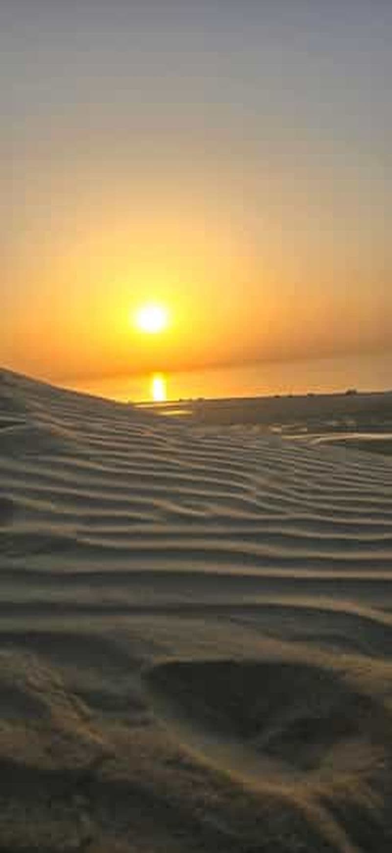 Safari dans le désert au lever ou au coucher du soleil avec planche à voile au Qatar