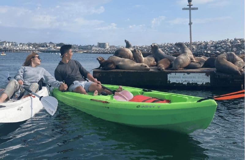 Redondo Beach : excursion en kayak et plongée avec tuba avec les otaries