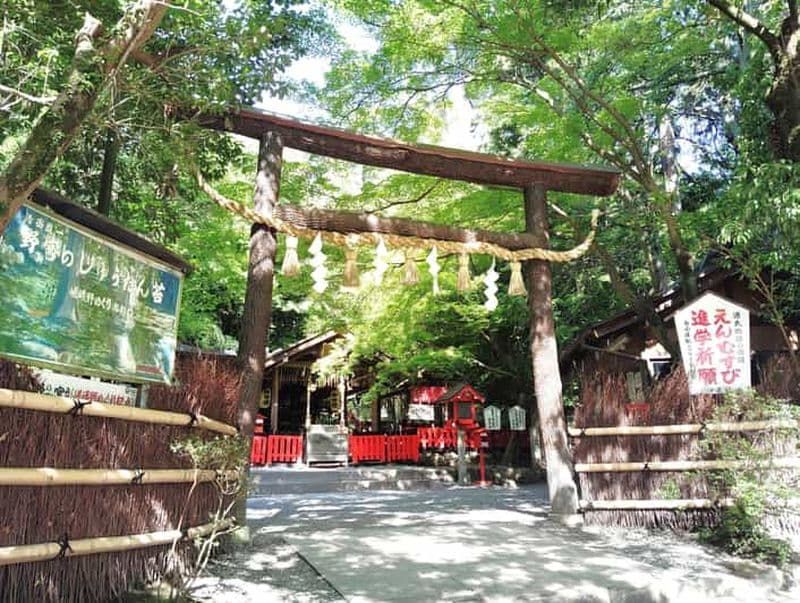 Kyoto : promenade matinale sereine dans la bambouseraie d'Arashiyama