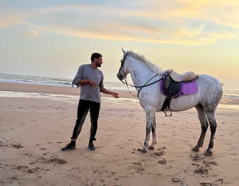Taghazout : promenade à cheval sur la plage avec prise en charge à l'hôtel