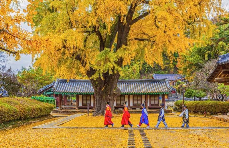 Billet Visite d'une jounée du village Hanok de Jeonju : feuillage d'automne à Jangtaesan
