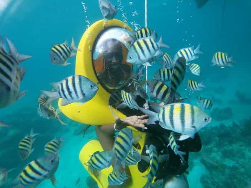 Billet Punta Cana : Aventure de plongée Scubadoo Ocean Exploration