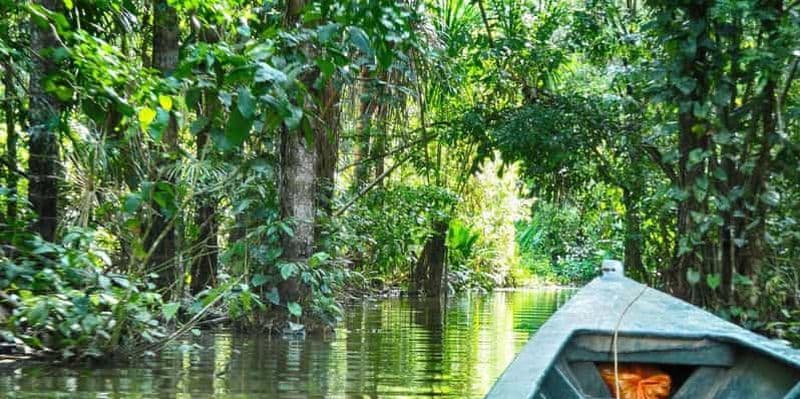 SAFARI ANIMAUX TAMBOPATA 3J/2N