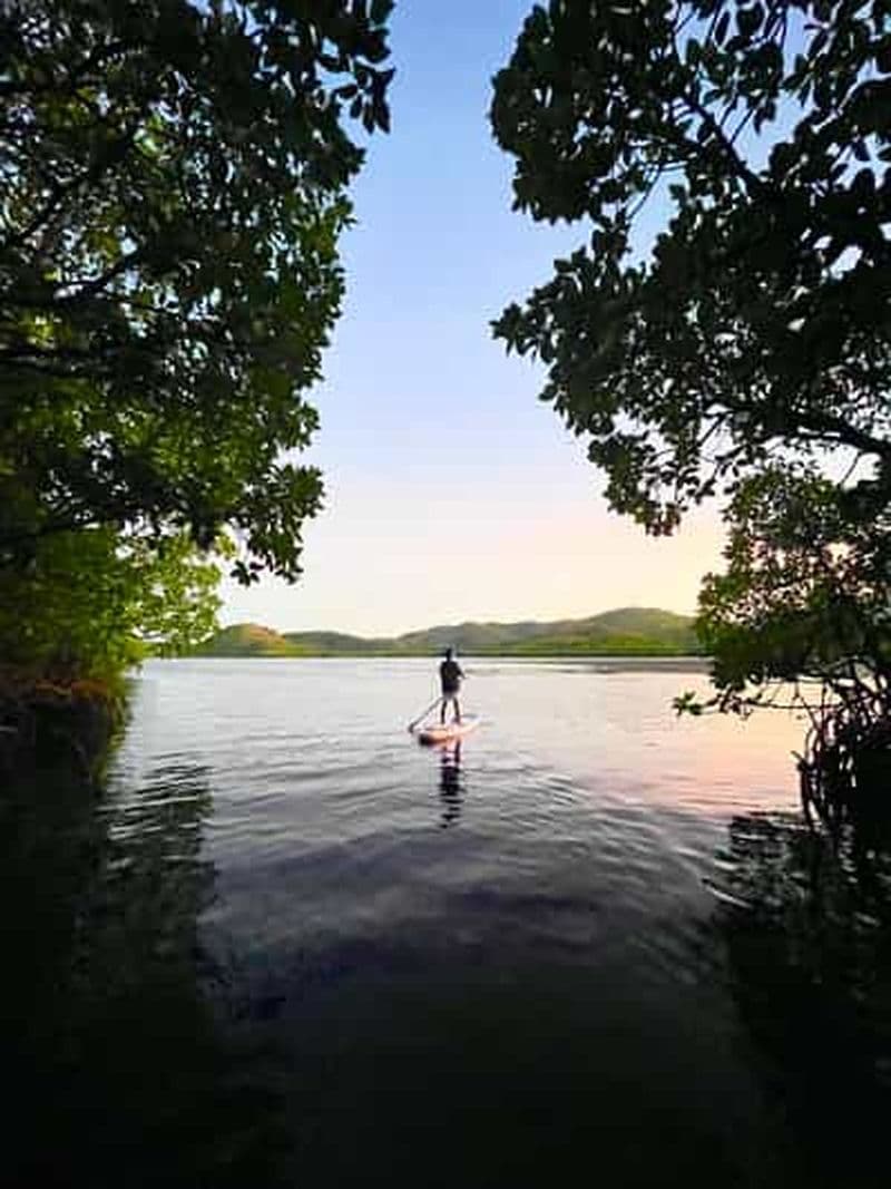 Coron Blue Tears Clear Kayaking & Sunset SUP of Mangroves (en anglais)