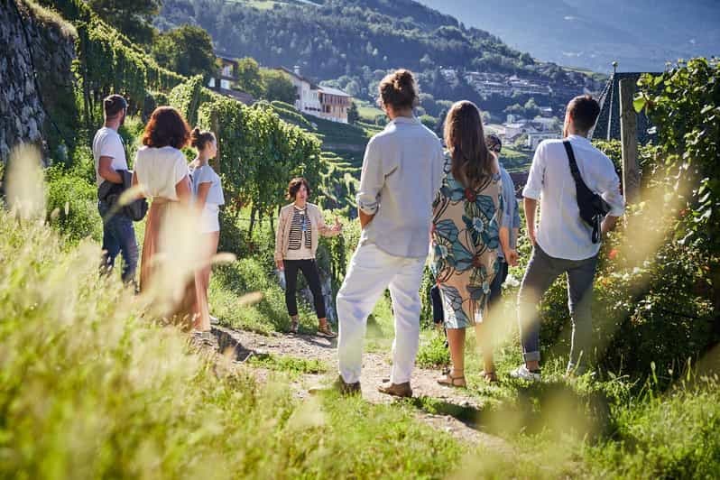 Abbaye de Neustift : Visite guidée des vignobles avec dégustation