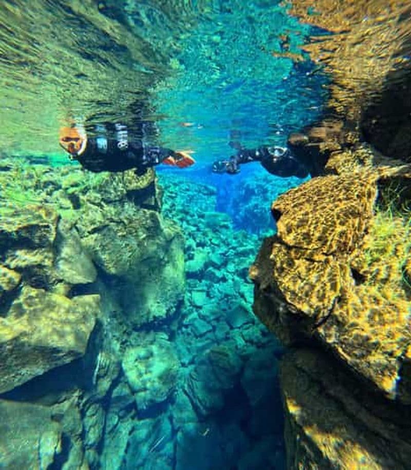 Depuis Reykjavík : Silfra Snorkeling avec des photos gratuites